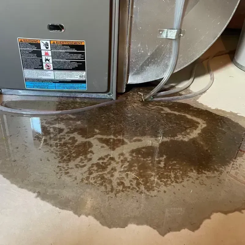 Appliance Leak Cleanup in Riverwoods, IL